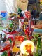 ����ȥ󡡥ޥ��ͥƥ��å�������åס�5�����ꡡ�ʥ�����A��
