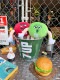 7UP�����֥󥢥åס��ƥ���Х��ġ��ߥˡ��ʥ��꡼���