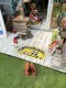 �ࡼ�󥢥����������Х����ե����ޥå�
