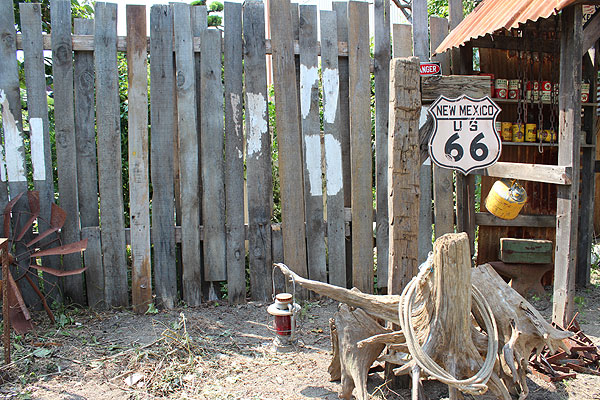 ΤΥ롼66åɥ󡡡ʥ롼66/˥塼ᥭ