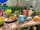 �쥤��ܡ��ɥ饤�֥��󡡥ޥ����åס��ʥ֥롼��