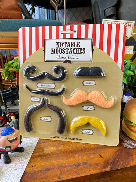 �Ρ����֥롡�ޥ����å��塡�ʥ��饷�å��С�������