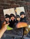 �ӡ��ȥ륺���ե��������롡�֥ꥭ���ġ�BEATLES FOR SALE