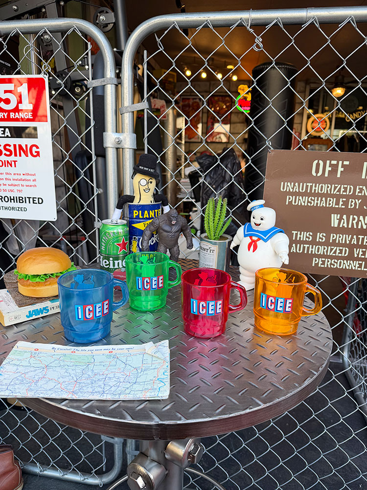 ICEE�����������������å��󥰥ޥ�������4�����åȡ�