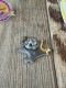 �ޥ��ɥʥ�ɡ��ޥå��ԥ󥺡��ʥ����ܡ����ޥå��ʥ��åȡˡ�ñ��