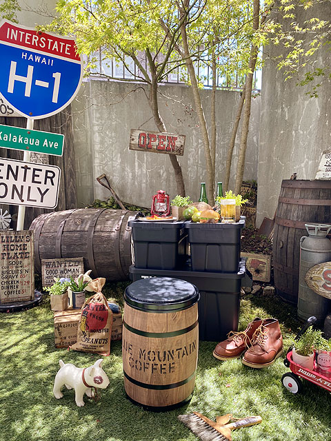 �����ҡ���î�����������ʥ֥饦���