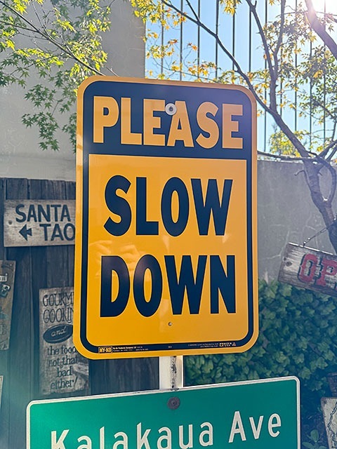 1_000000033373.jpg?1706491088