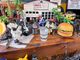 ���ե���������åȥ��饹����Memphis Good Times Roll��