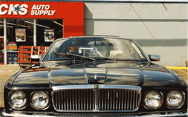 ȥĥ꡼ʥ饤ˡLittle TreesMADE IN U.S.A.