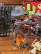 NECA���ǲ衡����೹�ΰ�̴���ե�ǥ������롼�������إåɥΥå���