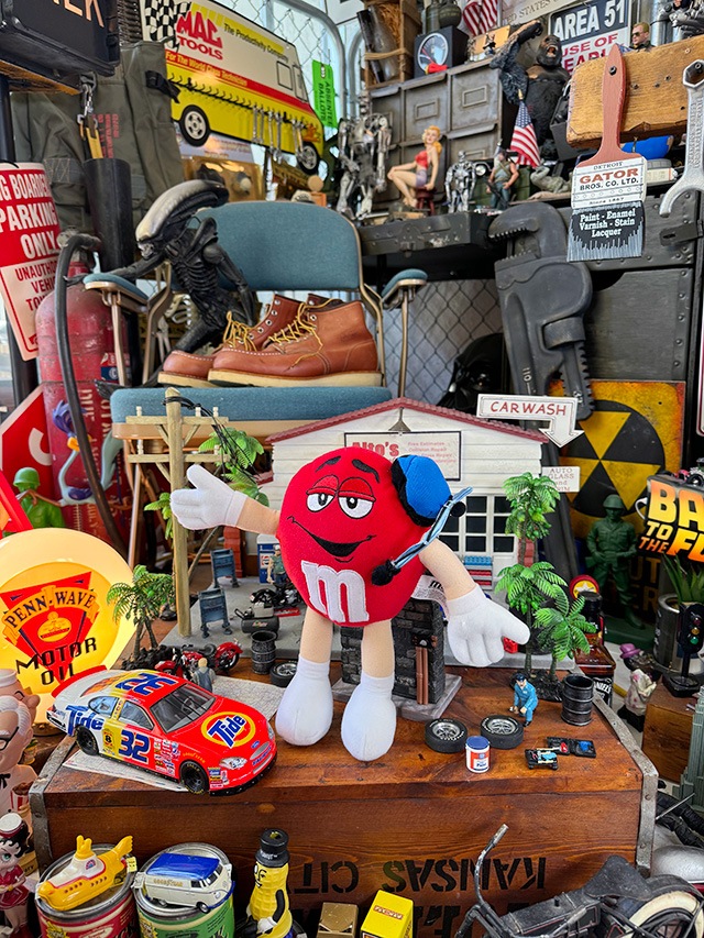 m&m's����åɡ�NASCAR���ԥåȥ��롼���̤������
