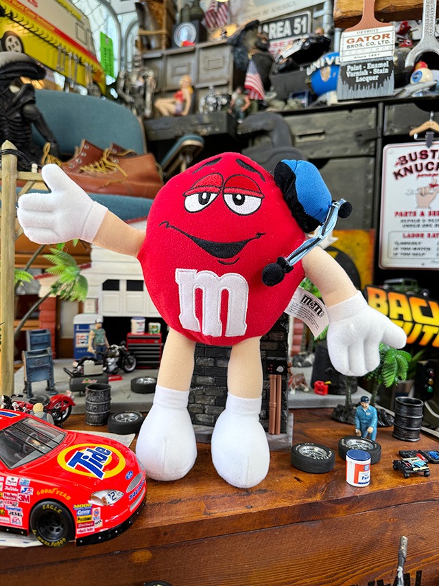 m&m's����åɡ�NASCAR���ԥåȥ��롼���̤������