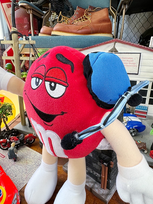 m&m's����åɡ�NASCAR���ԥåȥ��롼���̤������