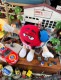 m&m's����åɡ�NASCAR���ԥåȥ��롼���̤������