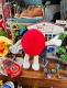 m&m's����åɡ�NASCAR���ԥåȥ��롼���̤������