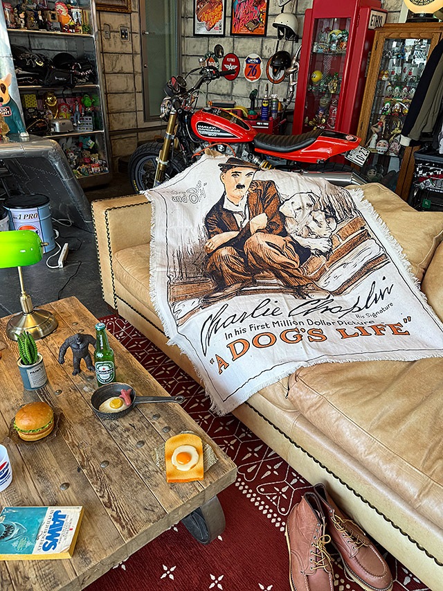 �ࡼ�ӡ��ݥ��������ޥ�����������ʥ���åץ��/���������