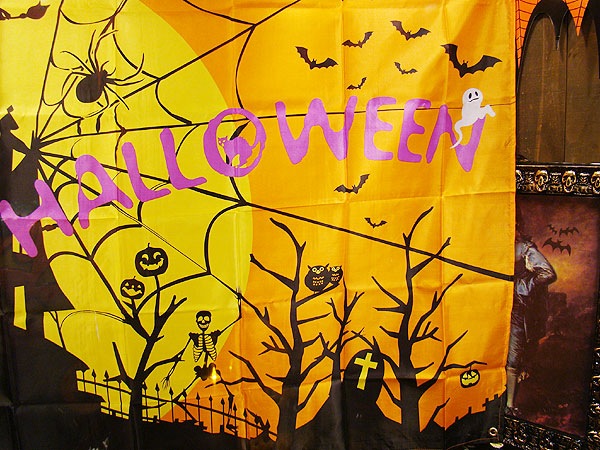 �ϥ������󡡥��㥤����ȥե�å� 