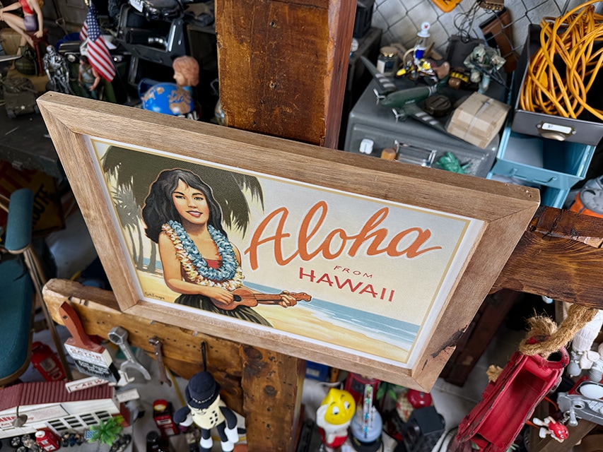 �ϥ磻���󡡥�����ơ��������ȡ����åɥե졼�ࡡ�ʥ�����쥬������ӡ�����