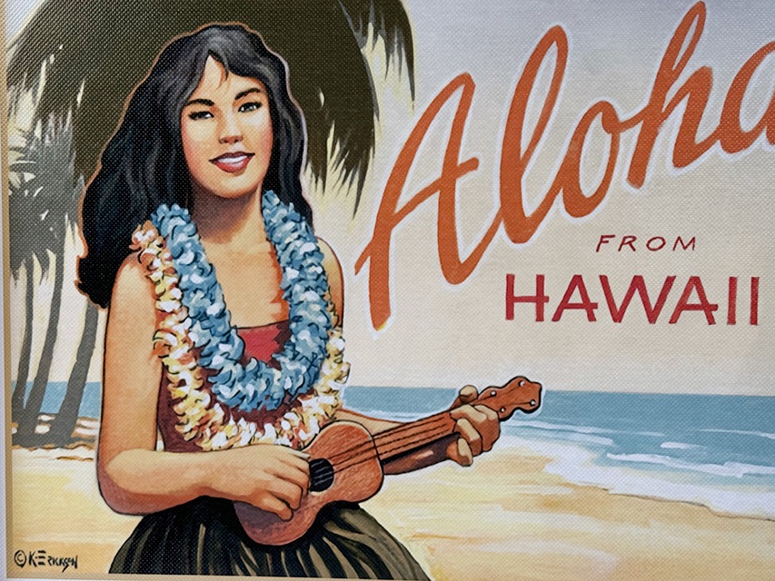 �ϥ磻���󡡥�����ơ��������ȡ����åɥե졼�ࡡ�ʥ�����쥬������ӡ�����