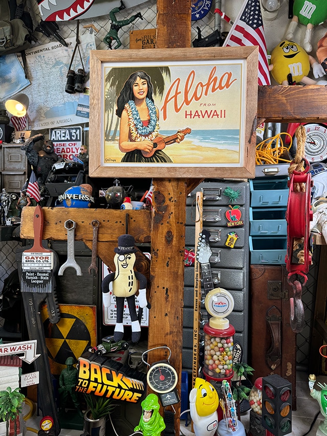 �ϥ磻���󡡥�����ơ��������ȡ����åɥե졼�ࡡ�ʥ�����쥬������ӡ�����