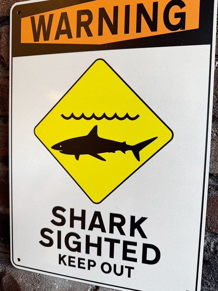 �֥�����פˤĤ�Ω���ػߡס��ϥ磻���󡡷ٹ���ġ�����ߥ�����