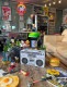 SUCK UK���饸�������֡���ܥå����������ܥå���