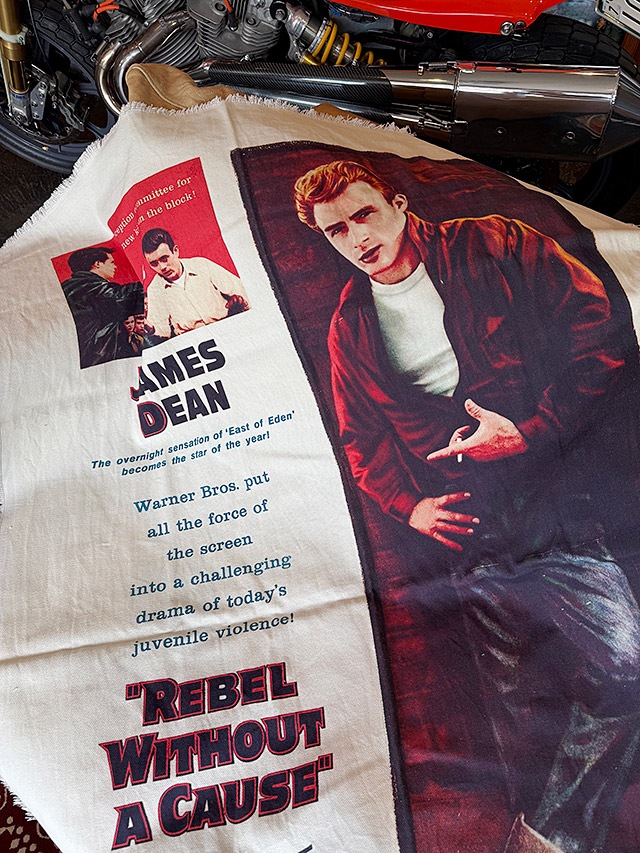 �ࡼ�ӡ��ݥ��������ޥ�����������ʥ������ॹ���ǥ�����/��ͳ�ʤ�ȿ����