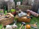�ޡ�����꡼�������Х��ƥ��å���ܥå������С����ʥ��졼��