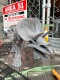 �ߥ˥��奢�����ʥ�������ε���֥������ȥꥱ��ȥץ����ܥǥ�������