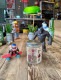 ���硼�����å����ֿ��ä��黦���ס����������饹���㡼�����Ǥ���¸�ƴ�