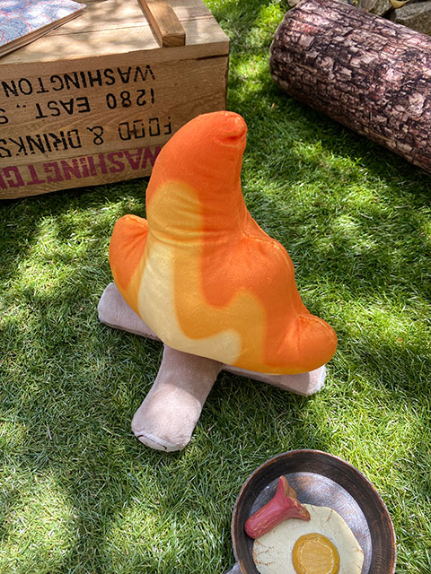 ʲ���С��̤�����ߡ��ܥ�ե���������30cm