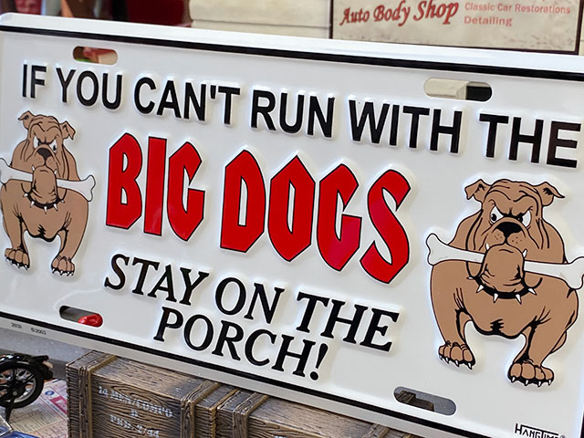 ���Ը����ա��ס��饤���󥹥ץ졼�ȡ���BIG��DOGS��