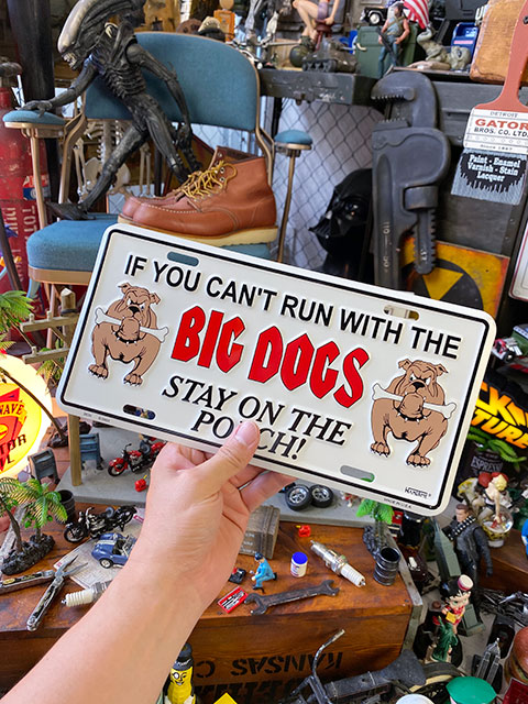 ���Ը����ա��ס��饤���󥹥ץ졼�ȡ���BIG��DOGS��