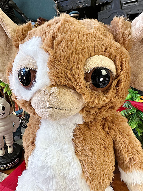 NICI���ǲ衡������󡡥����⡡�̤�����ߡ�35cm����M��������