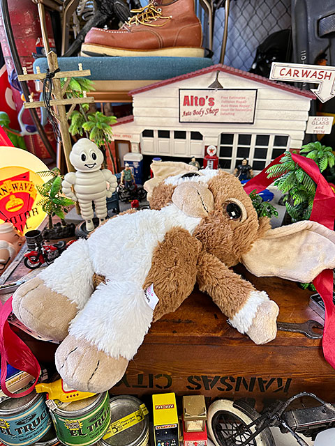 NICI���ǲ衡������󡡥����⡡�̤�����ߡ�35cm����M��������