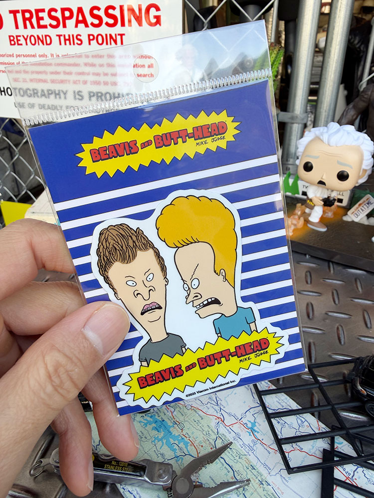 �ӡ��Х����Хåȥإåɡ����ե�����롡�������åȡ����ƥå������ʥХ��ȥ���åȡˡ�MTV