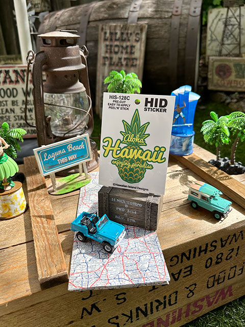 �ϥ磻���󡡥������ɡ����ƥå������ʥѥ��ʥåץ롡Aloha Hawaii��