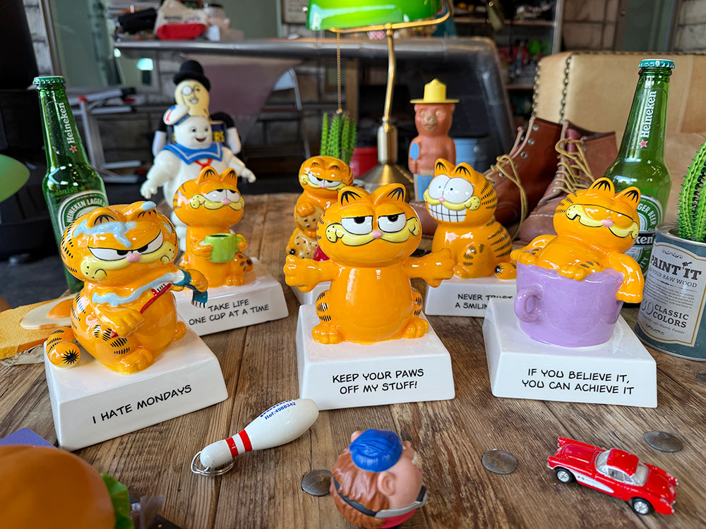 �����ե�����ɡ���å������ɡ��롡ƫ����������6�糧�åȡ�