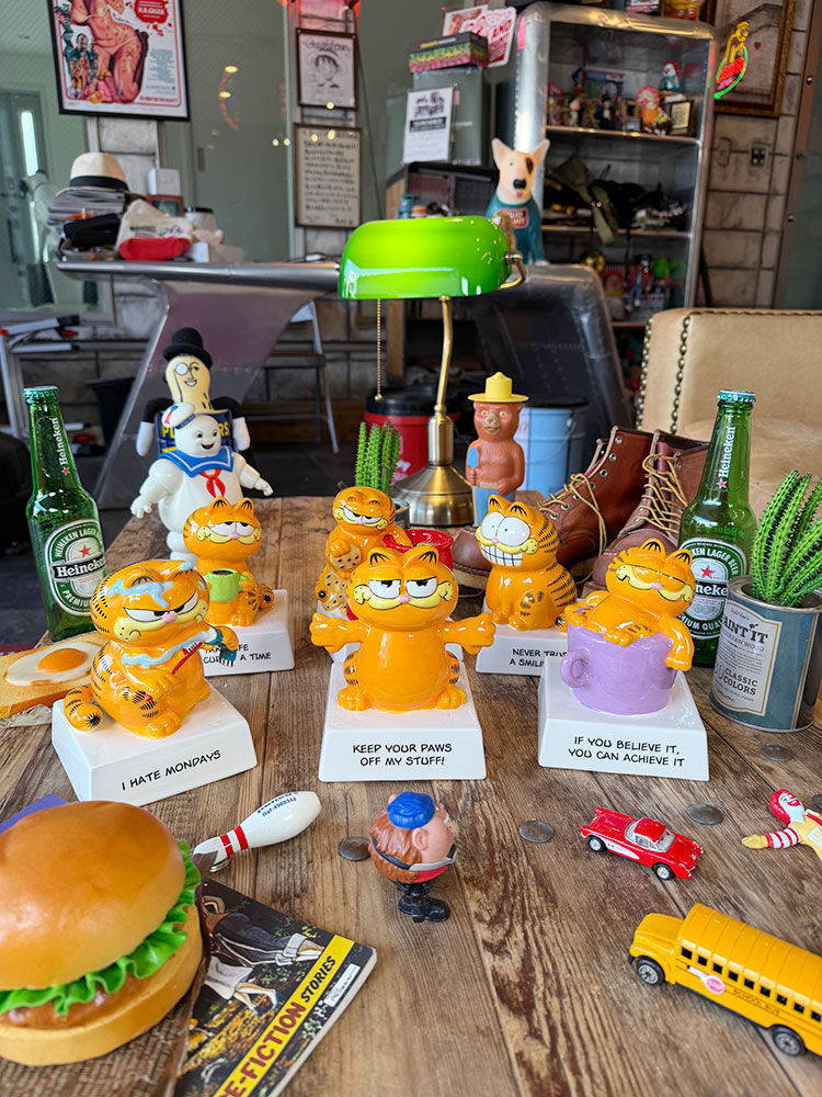 �����ե�����ɡ���å������ɡ��롡ƫ����������6�糧�åȡ�