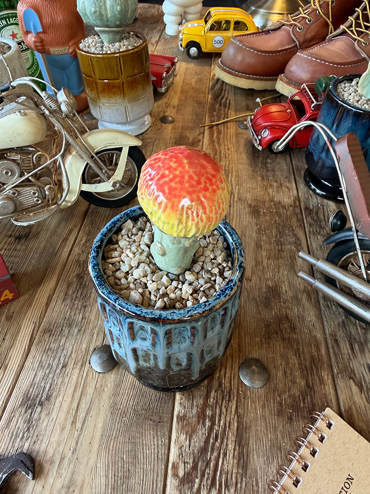 �ݥ��ȥ����ͥ�롡�ե����������ܥƥ󡡥��������ƥ��ݥåȡ��ʥ�åɥࡼ���
