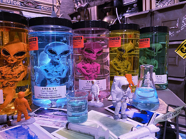 �߷������5000�����ˡ������ꥢ51�������ꥢ��Υۥ�ޥ���Ҥ��������������Ƥǥ����ꥢ�󥿥����������6�拾��ץ꡼�ȥ��åȡˡ����νꤵ�����仿������ë�١����˾����Ƥޤ���niko and ...���˥������