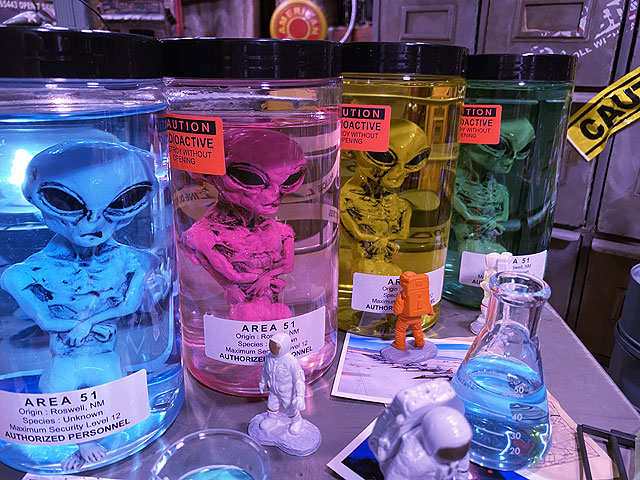 �߷������5000�����ˡ������ꥢ51�������ꥢ��Υۥ�ޥ���Ҥ��������������Ƥǥ����ꥢ�󥿥����������6�拾��ץ꡼�ȥ��åȡˡ����νꤵ�����仿������ë�١����˾����Ƥޤ���niko and ...���˥������