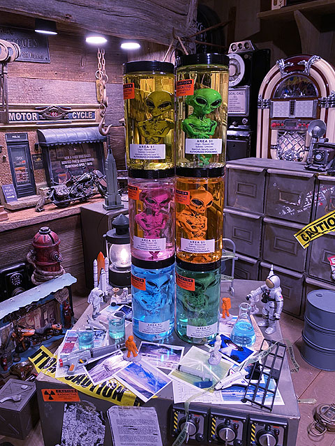 �߷������5000�����ˡ������ꥢ51�������ꥢ��Υۥ�ޥ���Ҥ��������������Ƥǥ����ꥢ�󥿥����������6�拾��ץ꡼�ȥ��åȡˡ����νꤵ�����仿������ë�١����˾����Ƥޤ���niko and ...���˥������