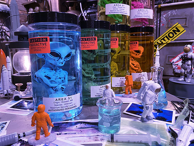 �߷������5000�����ˡ������ꥢ51�������ꥢ��Υۥ�ޥ���Ҥ��������������Ƥǥ����ꥢ�󥿥����������6�拾��ץ꡼�ȥ��åȡˡ����νꤵ�����仿������ë�١����˾����Ƥޤ���niko and ...���˥������