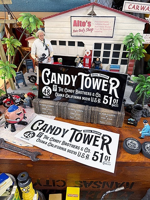 �����ǥ���������ե�����롡���ƥå�����XL��������22cm����2�祻�åȡ�