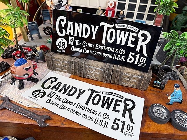 �����ǥ���������ե�����롡���ƥå�����XL��������22cm����2�祻�åȡ�