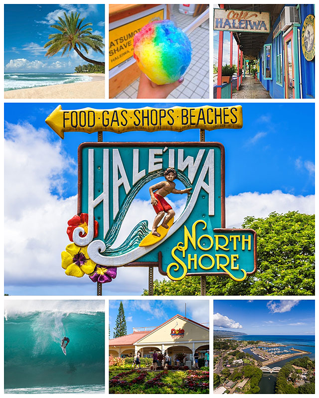 �ϥ磻���󡡥������ɡ����ƥå������ϥ쥤���̾ʪ����