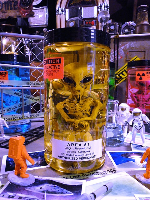 ߷5000ˡꥢ51 ꥢΥۥޥҤνꤵ仿ë١˾Ƥޤniko and ...˥