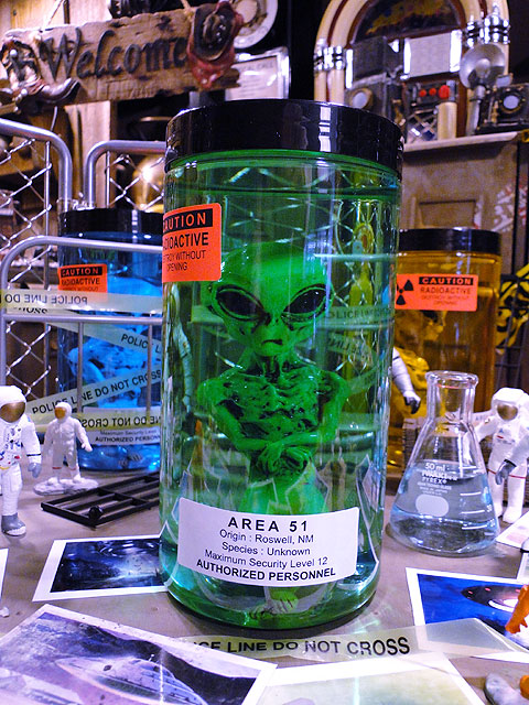 ߷5000ˡꥢ51 ꥢΥۥޥҤνꤵ仿ë١˾Ƥޤniko and ...˥