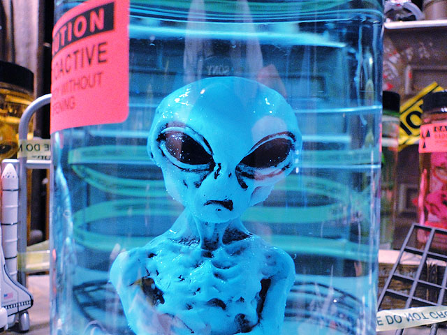 ߷5000ˡꥢ51 ꥢΥۥޥҤνꤵ仿ë١˾Ƥޤniko and ...˥